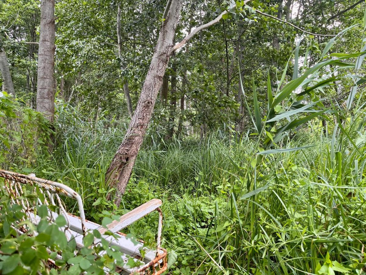 Haeuschen In Den Erlen Villa Eberswalde Eksteriør bilde